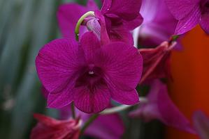 2025-02226057 Tower Hill Botanic Garden, MA